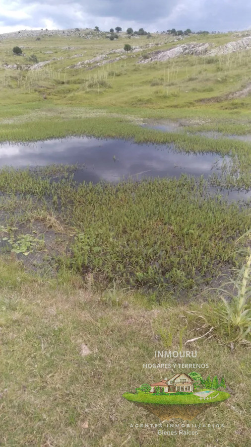 Campo Ref.1764 - VENTA de CAMPO de 34,5 ha en MALDONADO