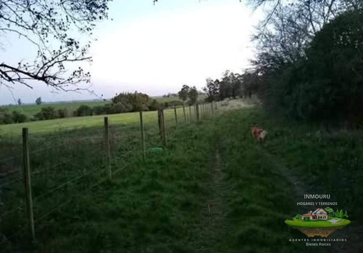 Campo Ref.1578 - Venta de Campo por RUTA 12
