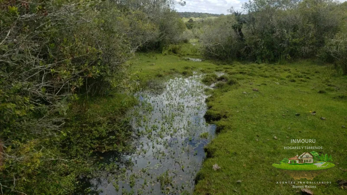 Campo Ref.839 - VENTA de campo en LAVALLEJA (Minas)