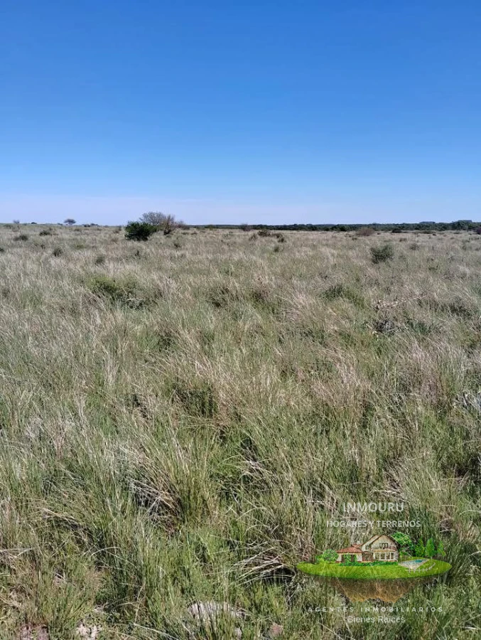 Campo Ref.2150 - VENTA de campo de 250 hectáreas en CANELONES