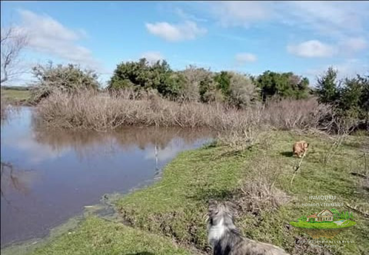 Campo Ref.1996 - Venta de campo de 70 hectareas