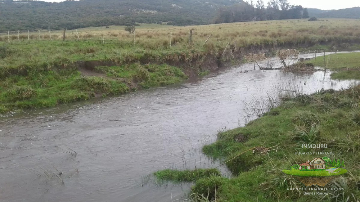 Campo Ref.730 - Se vende campo de 80hás, Marco de los Reyes, Lavalleja