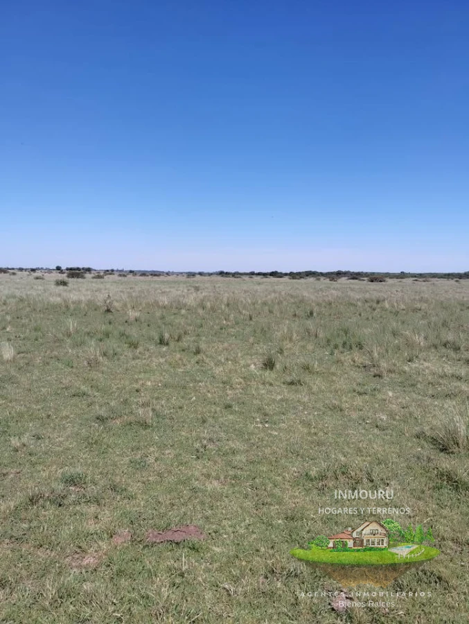 Campo Ref.2150 - VENTA de campo de 250 hectáreas en CANELONES