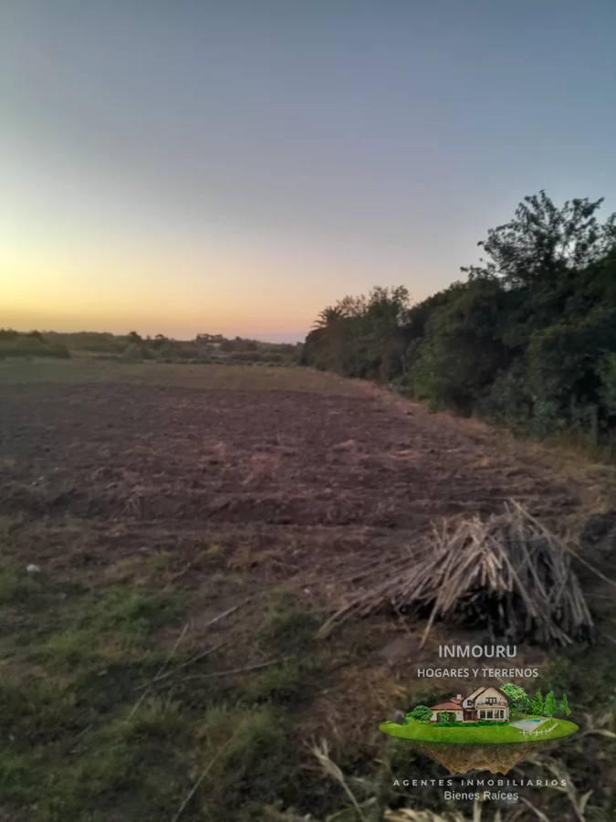 Campo Ref.488 - Venta de campo 4 y un cuarto de hectáreas en paso de la arena 