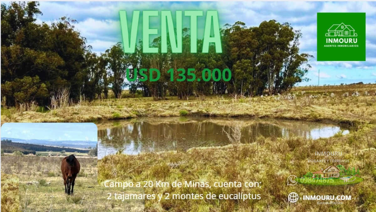 Campo Ref.1905 - Venta campo en Minas