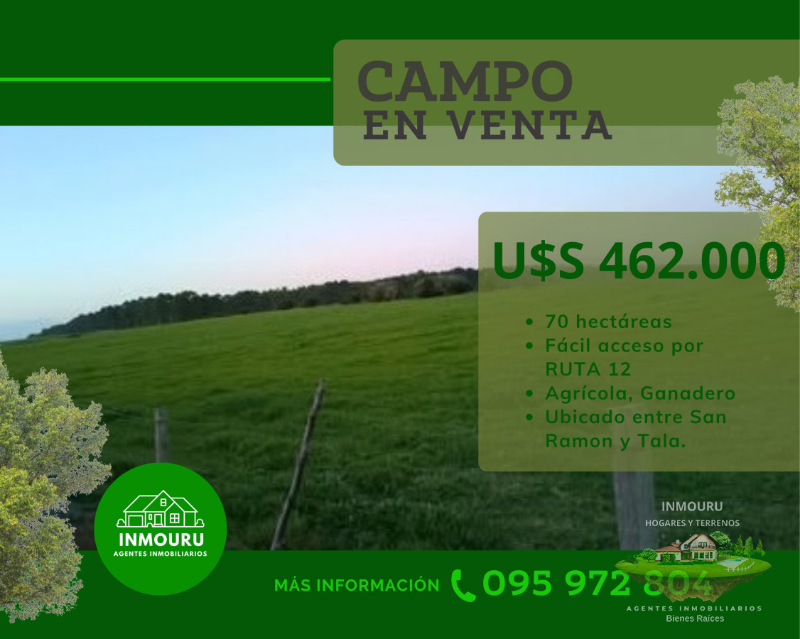 Campo Ref.1578 - Venta de Campo por RUTA 12