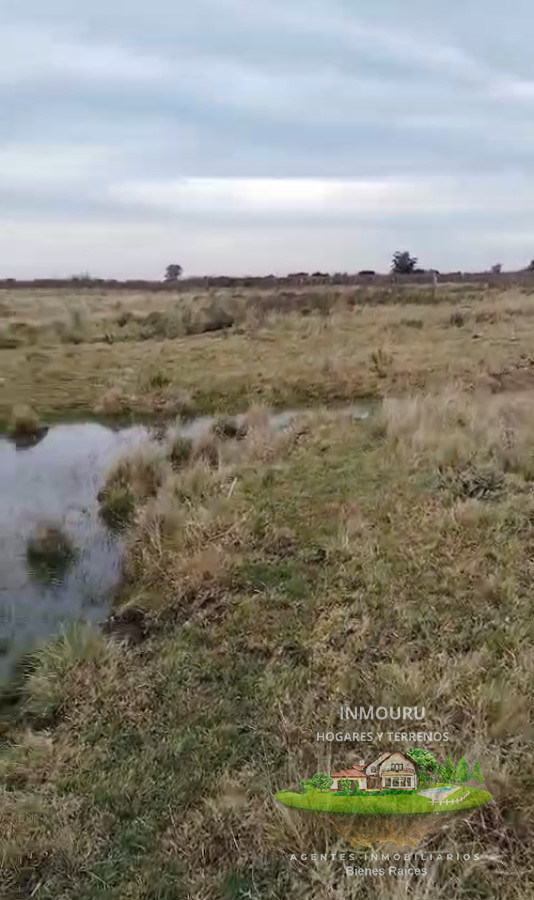 Campo Ref.1995 - Venta de Campo cerca de Piedritas