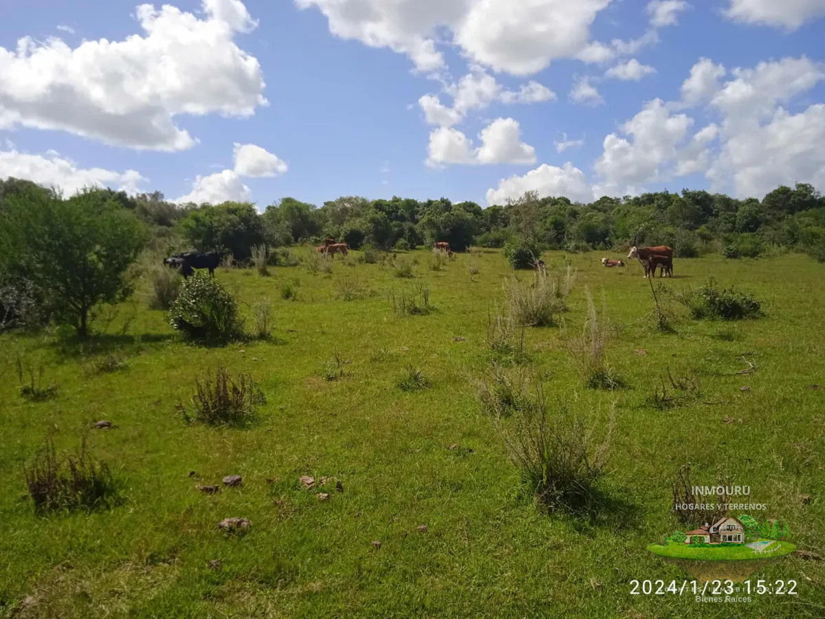 Campo Ref.1525 - VENTA de campo ubicado en TREINTA Y TRES