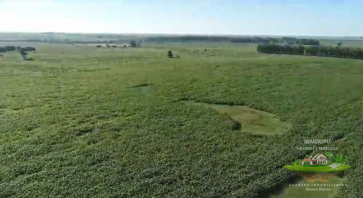 Campo Ref.2613 - Venta de campo en Florida Precio en dólares