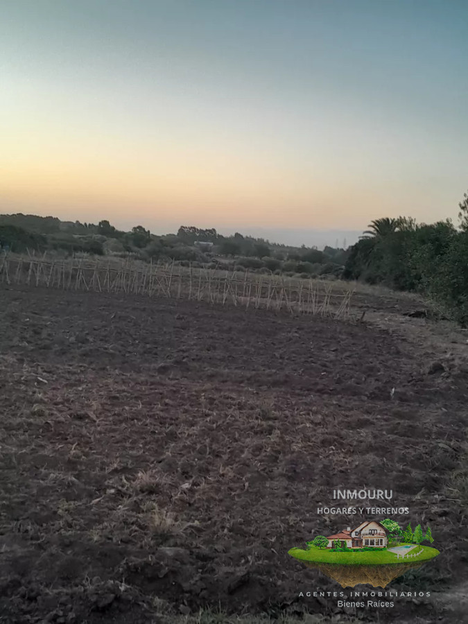 Campo Ref.488 - Venta de campo 4 y un cuarto de hectáreas en paso de la arena 