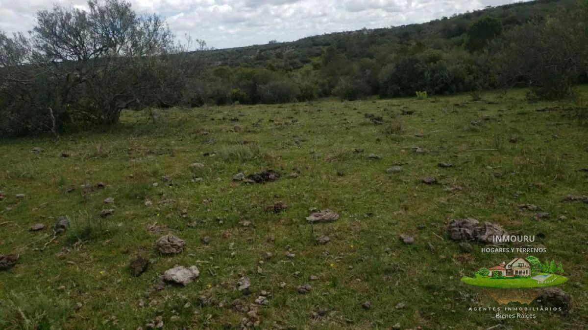 Campo Ref.839 - VENTA de campo en LAVALLEJA (Minas)