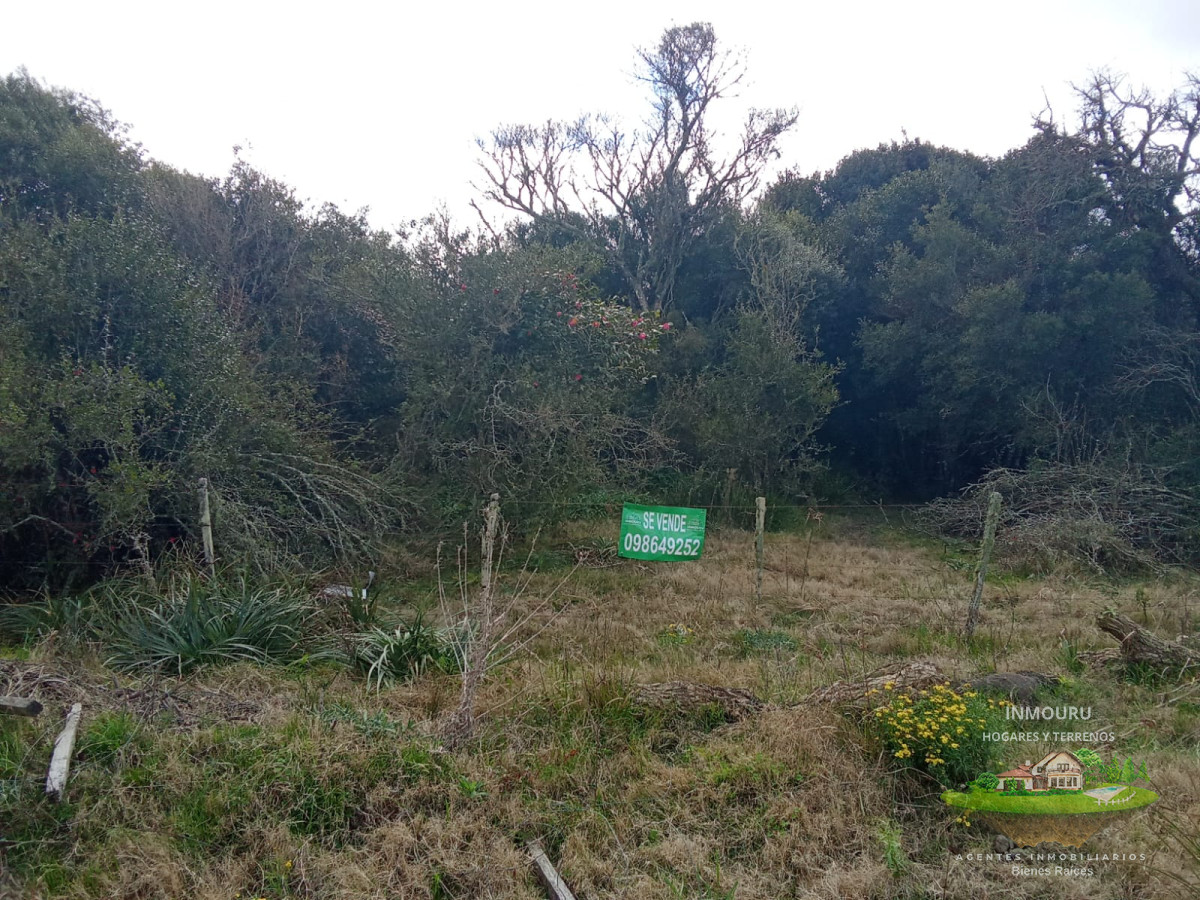 Campo Ref.1548 - Venta de Campo en Villa Passano
