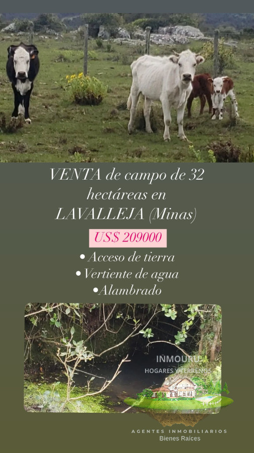 Campo Ref.839 - VENTA de campo en LAVALLEJA (Minas)