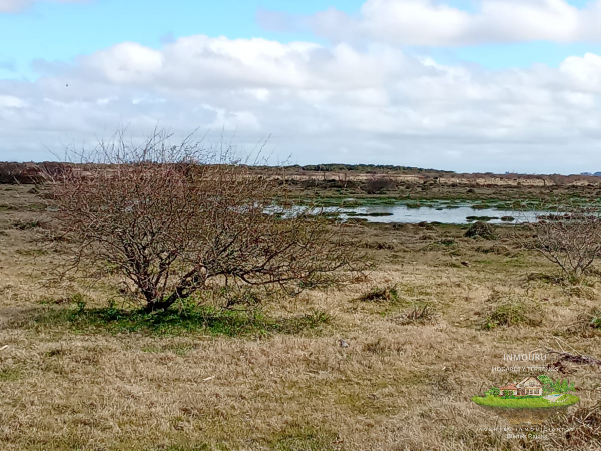 Campo Ref.1548 - Venta de Campo en Villa Passano