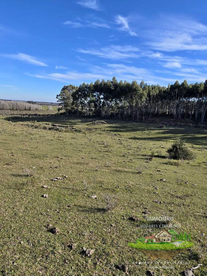 Campo Ref.1887 - Venta de Campo en Estación Tapia