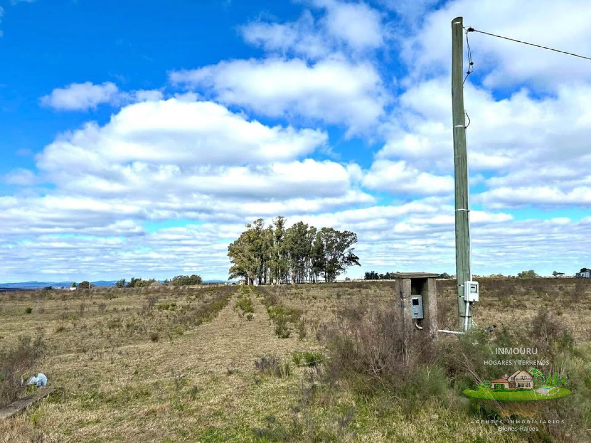 Campo Ref.1905 - Venta campo en Minas