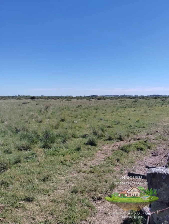 Campo Ref.2150 - VENTA de campo de 250 hectáreas en CANELONES