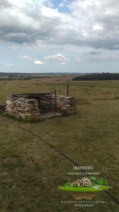 Campo Ref.1764 - VENTA de CAMPO de 34,5 ha en MALDONADO