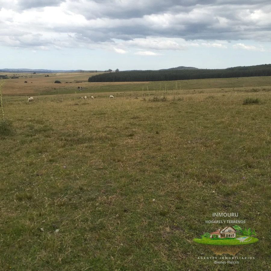Campo Ref.1764 - VENTA de CAMPO de 34,5 ha en MALDONADO