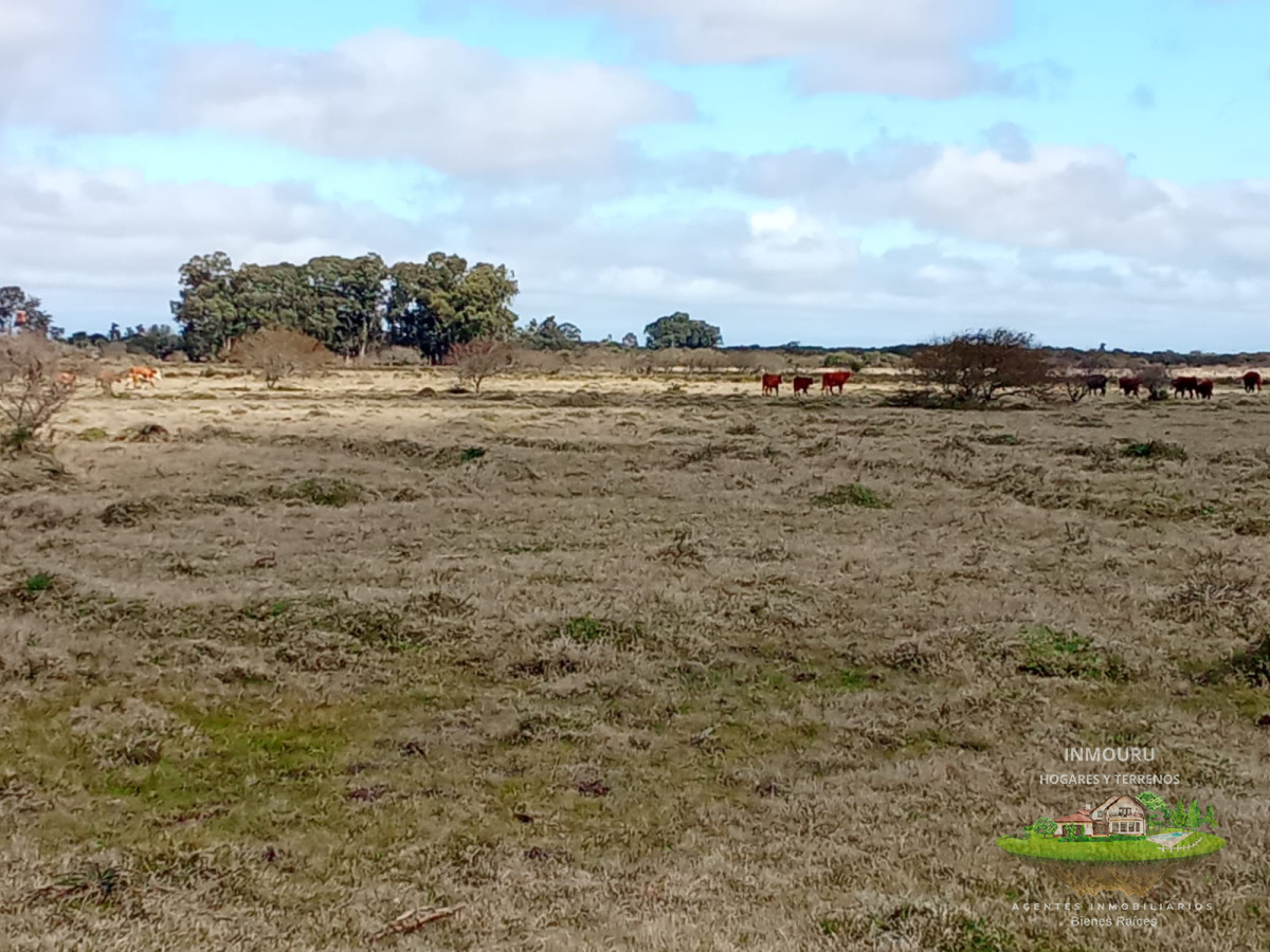 Campo Ref.1548 - Venta de Campo en Villa Passano