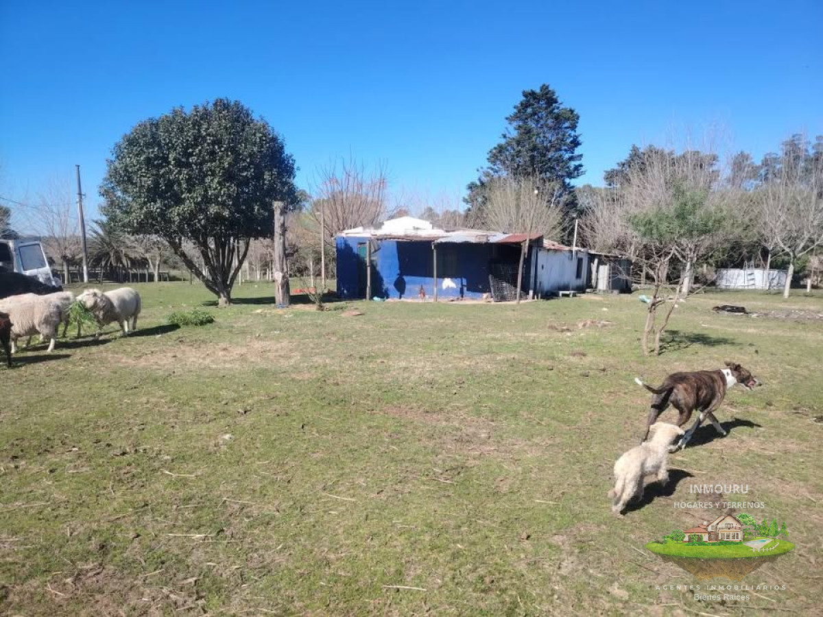Campo Ref.1829 - Venta de Campo en Sauce