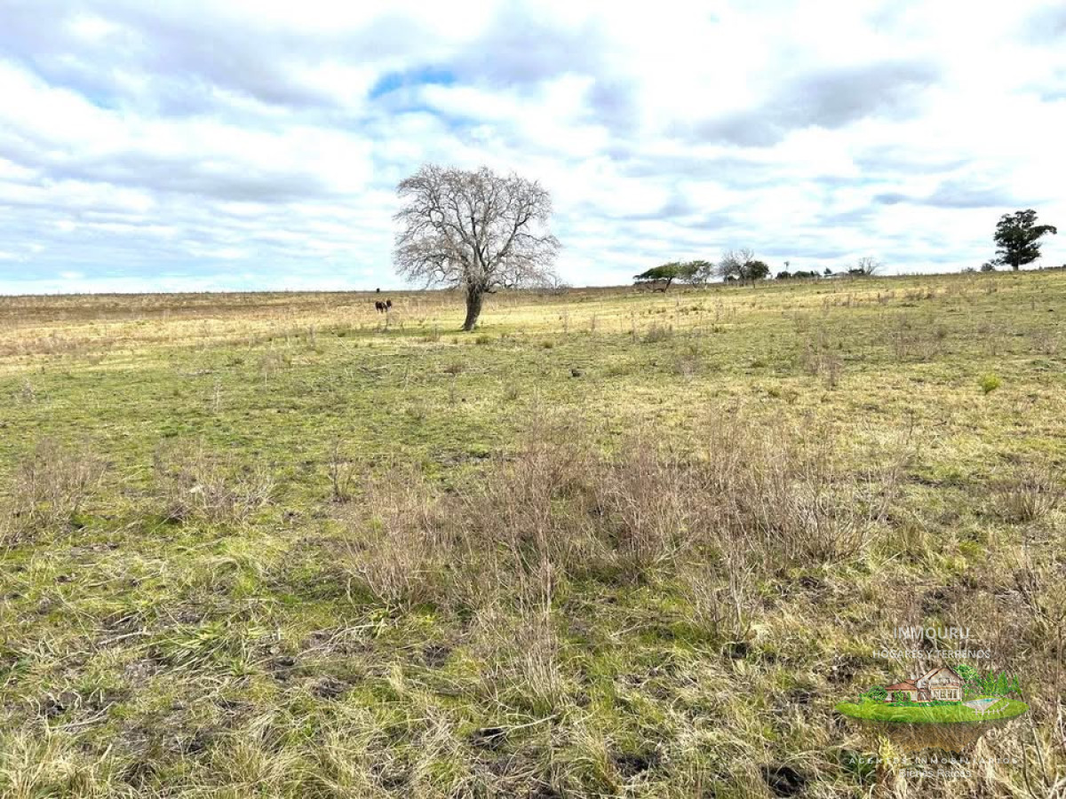 Campo Ref.1905 - Venta campo en Minas