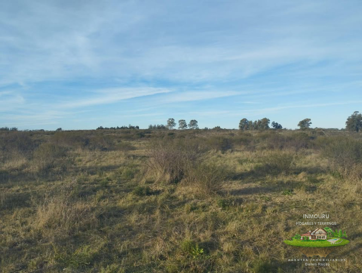 Campo Ref.1842 - Venta de Campo en Santa Rosa
