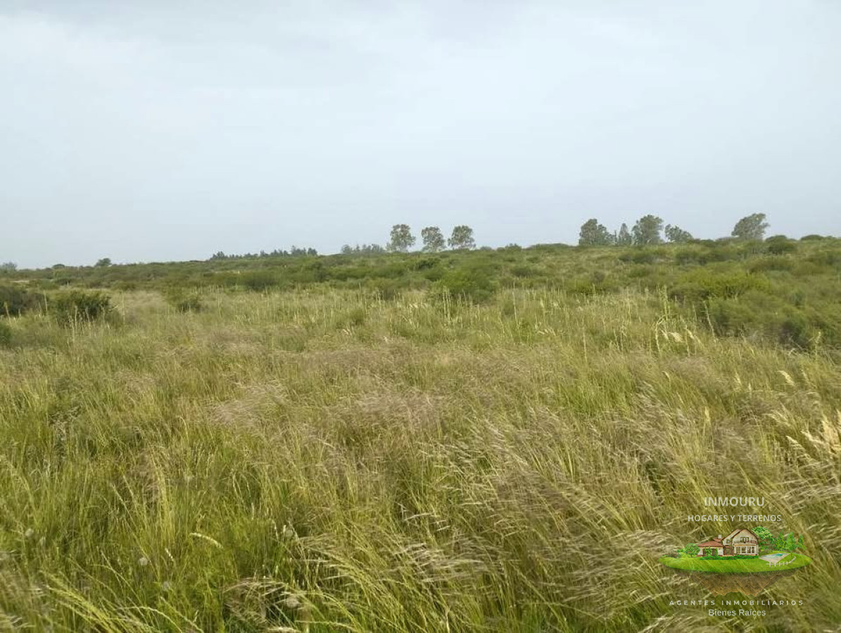 Campo Ref.2896 - Venta de Campo en Santa Rosa