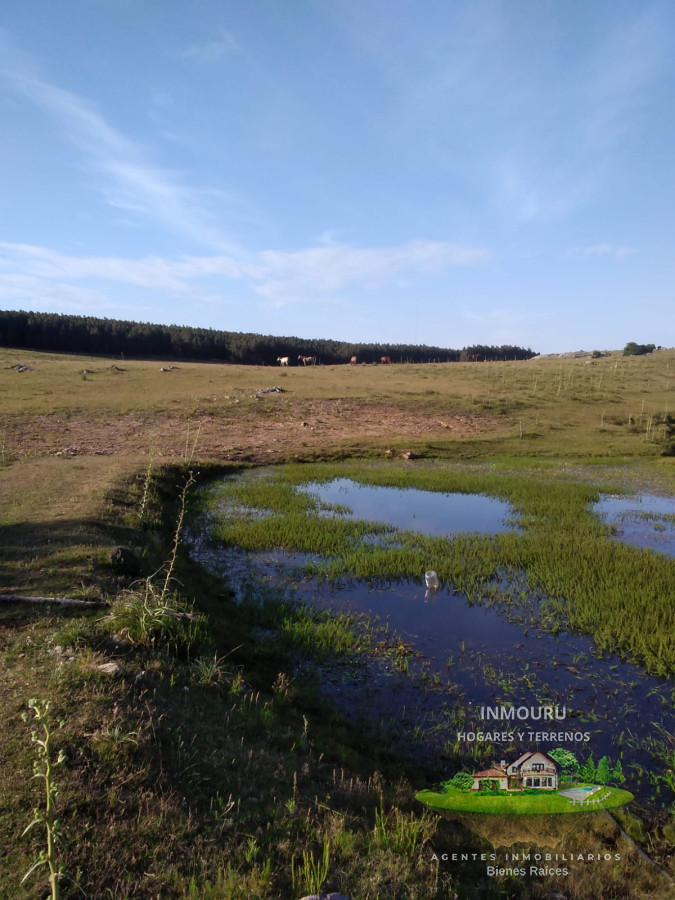 Campo Ref.1764 - VENTA de CAMPO de 34,5 ha en MALDONADO