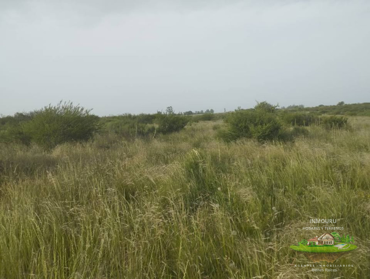 Campo Ref.2896 - Venta de Campo en Santa Rosa