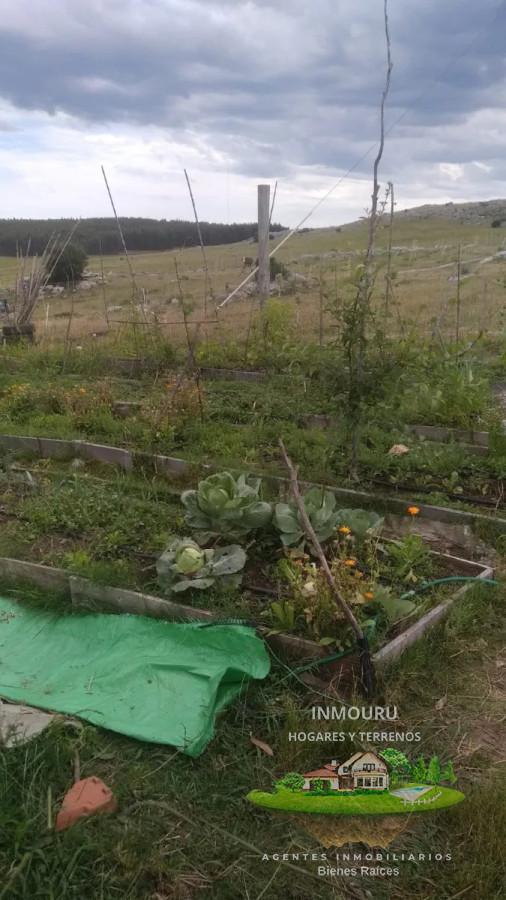 Campo Ref.1764 - VENTA de CAMPO de 34,5 ha en MALDONADO