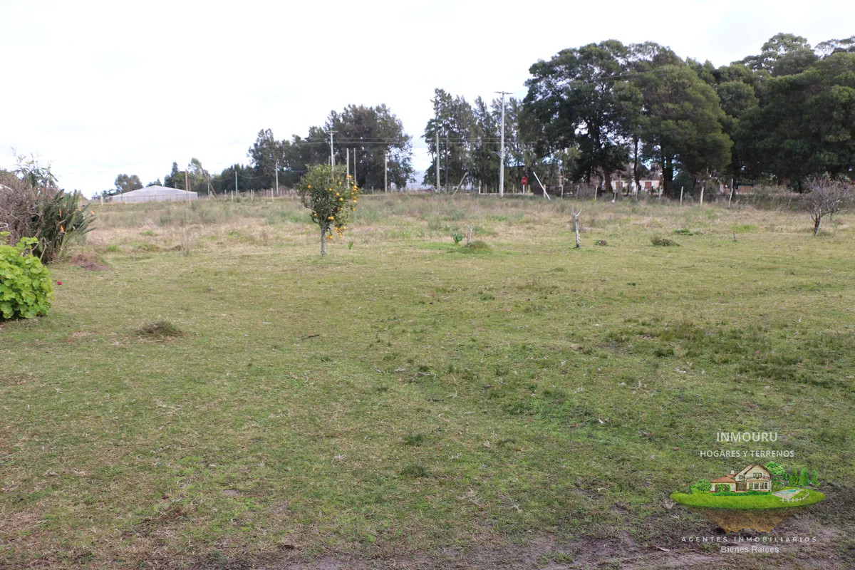 Campo Ref.1560 - Venta de Excepcional campo con vivienda en San Jacinto