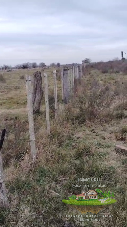 Campo Ref.1995 - Venta de Campo cerca de Piedritas