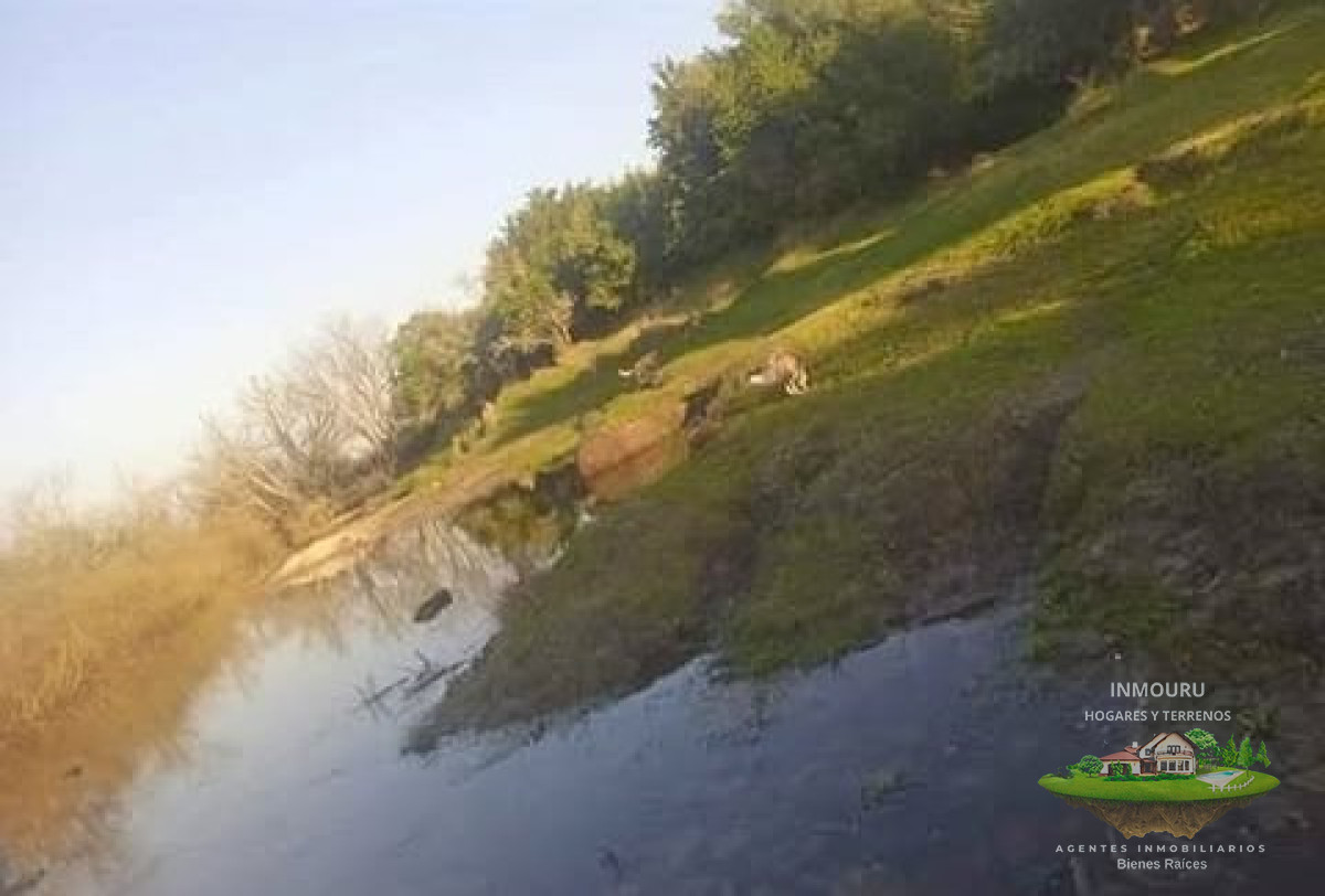 Campo Ref.1996 - Venta de campo de 70 hectareas