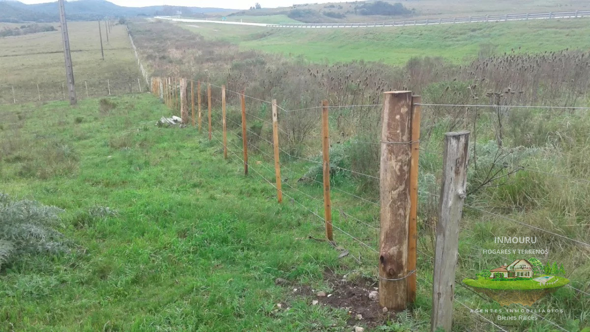 Campo Ref.730 - Se vende campo de 80hás, Marco de los Reyes, Lavalleja