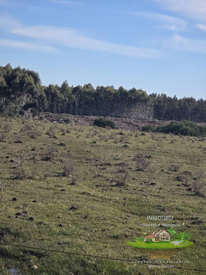 Campo Ref.1887 - Venta de Campo en Estación Tapia
