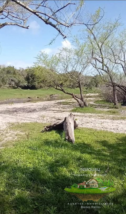 Campo Ref.1996 - Venta de campo de 70 hectareas