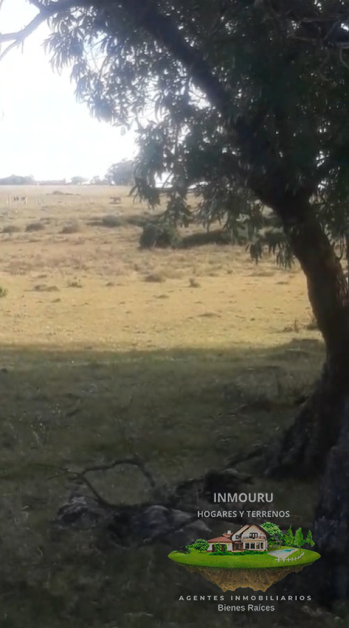 Campo Ref.2016 - Venta de Campo en La Carbonera, Rocha