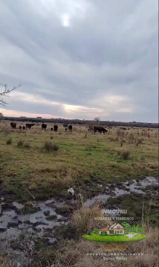 Campo Ref.1995 - Venta de Campo cerca de Piedritas