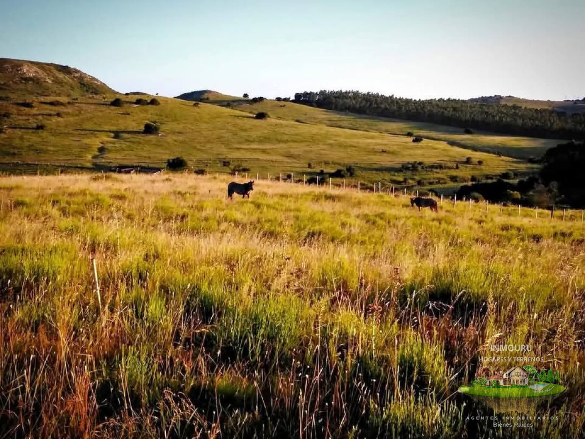Campo Ref.1828 - Venta de Chacra en Empalme Los Molles