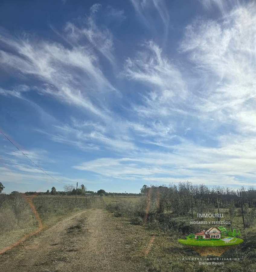 Campo Ref.1887 - Venta de Campo en Estación Tapia