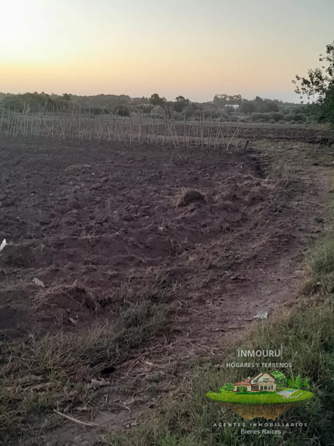 Campo Ref.488 - Venta de campo 4 y un cuarto de hectáreas en paso de la arena 