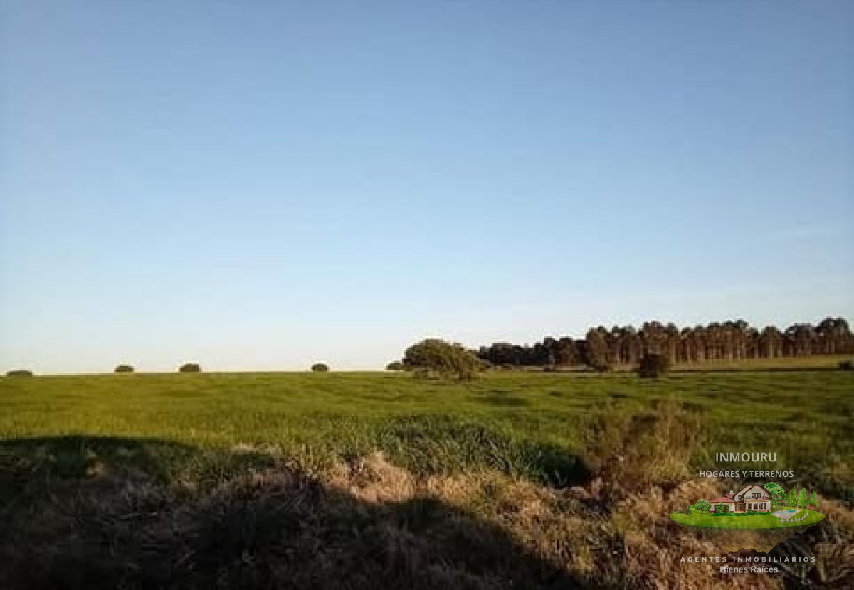 Campo Ref.1996 - Venta de campo de 70 hectareas