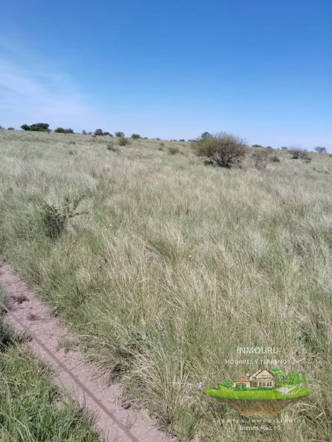 Campo Ref.2150 - VENTA de campo de 250 hectáreas en CANELONES