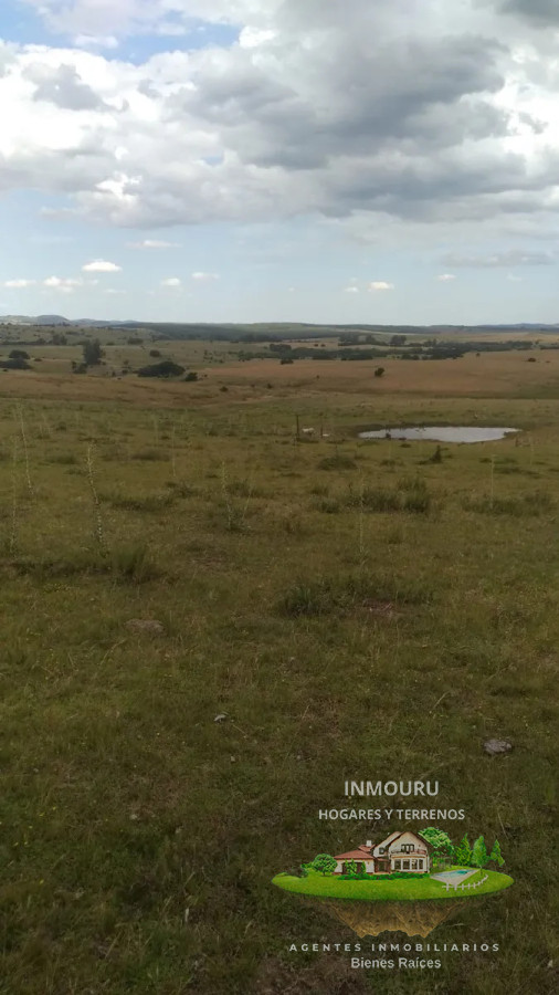 Campo Ref.1764 - VENTA de CAMPO de 34,5 ha en MALDONADO