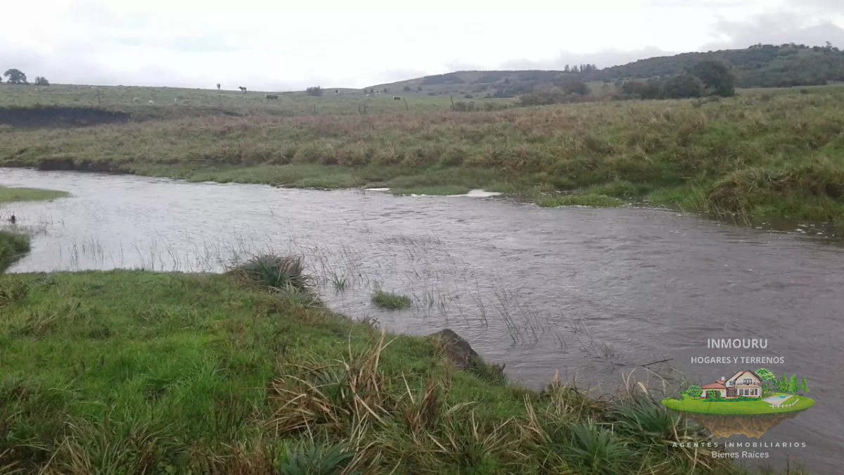 Campo Ref.730 - Se vende campo de 80hás, Marco de los Reyes, Lavalleja