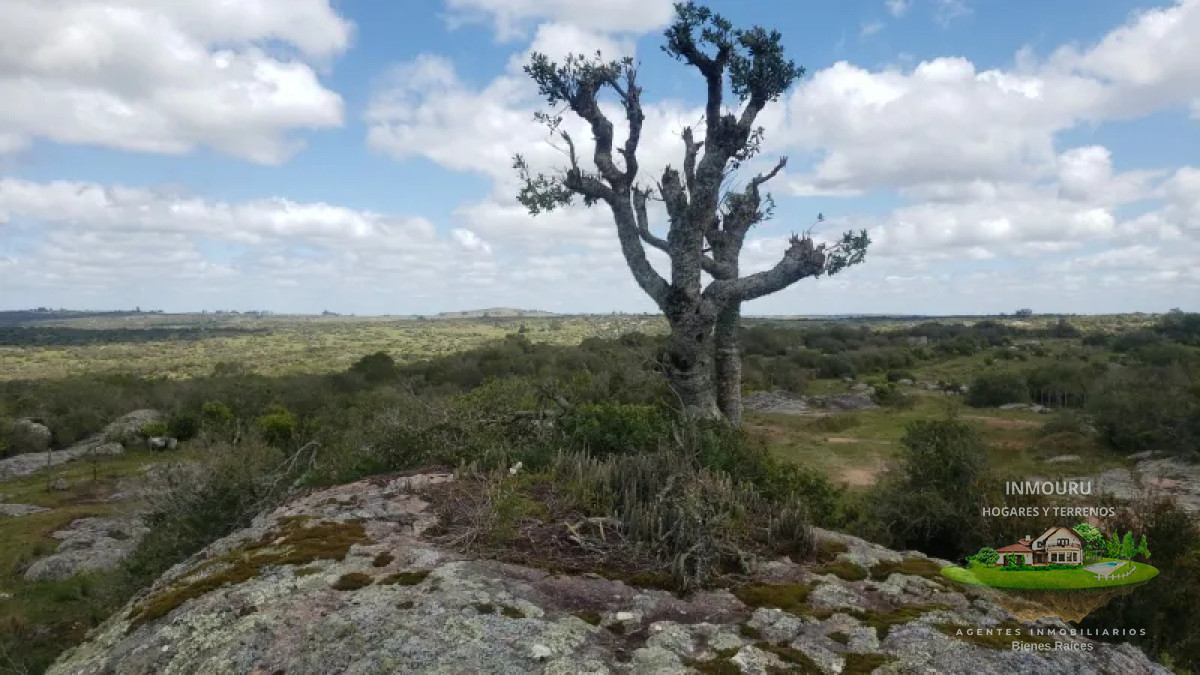 Campo Ref.839 - VENTA de campo en LAVALLEJA (Minas)