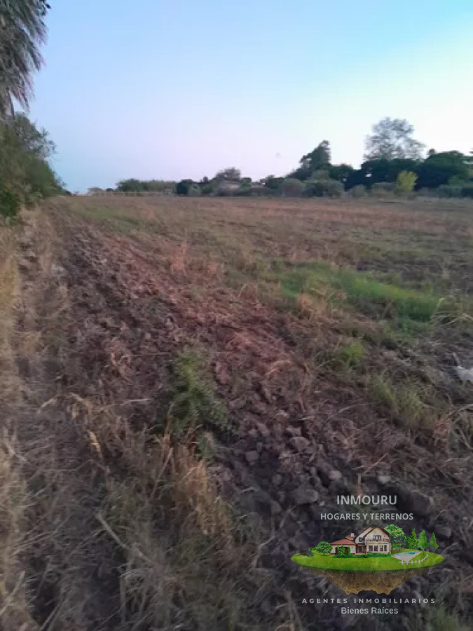 Campo Ref.488 - Venta de campo 4 y un cuarto de hectáreas en paso de la arena 