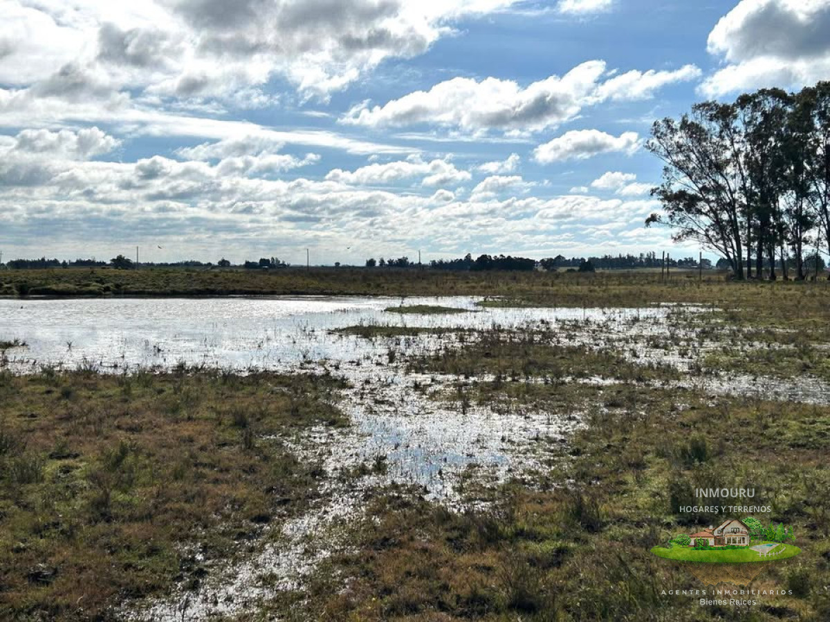 Campo Ref.1905 - Venta campo en Minas