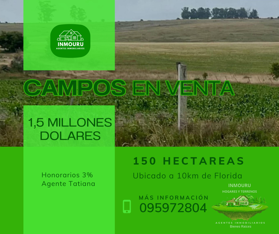 Campo Ref.1550 - Venta de campos en Paraje La Pedrera